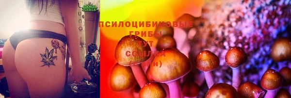 бутират Пересвет