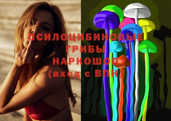 mdma Богородицк