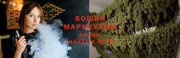 сатива Богородск