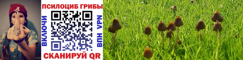 blacksprut вход  Ростов  Галлюциногенные грибы GOLDEN TEACHER 